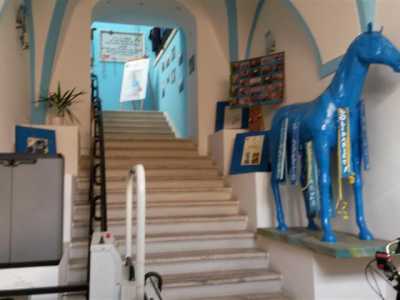 Il centro per la salute mentale Marco Cavallo